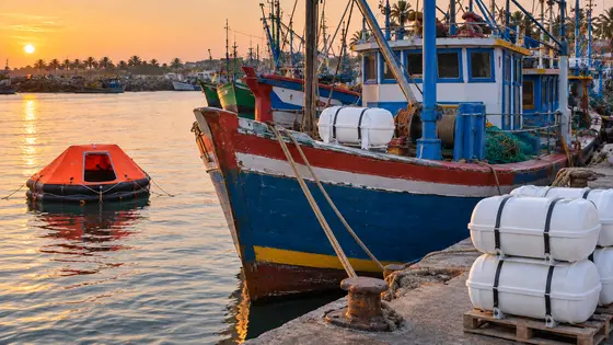 Liferafts for a Coastal Fishing Fleet Safety Upgrade